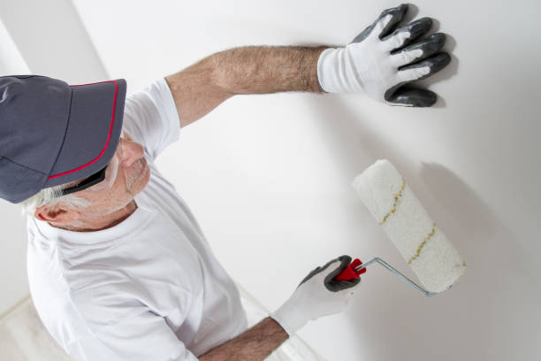Best Mold Damage Restoration  in Somerville, TN