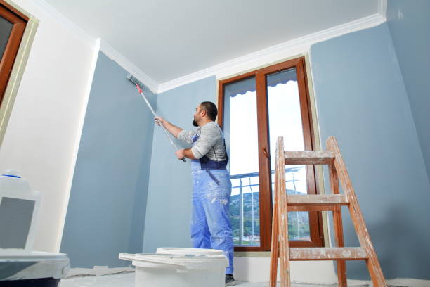 Best Basement Mold Removal  in Somerville, TN