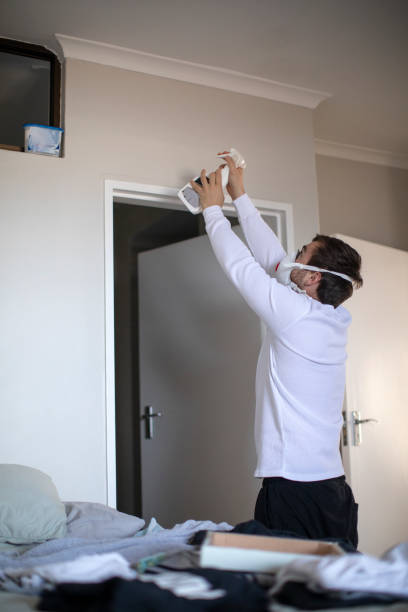 Mold Documentation for Insurance Claims in Somerville, TN