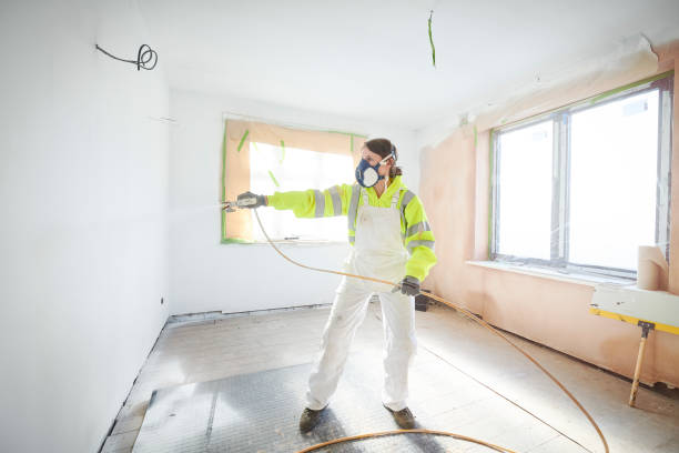 Best Emergency Mold Remediation  in Somerville, TN