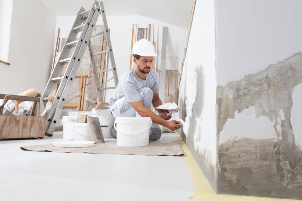 Best Biohazard Mold Removal  in Somerville, TN