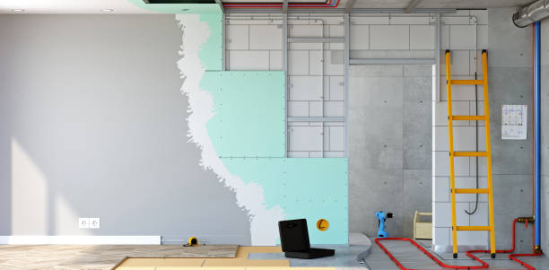 Best Airborne Mold Testing  in Somerville, TN