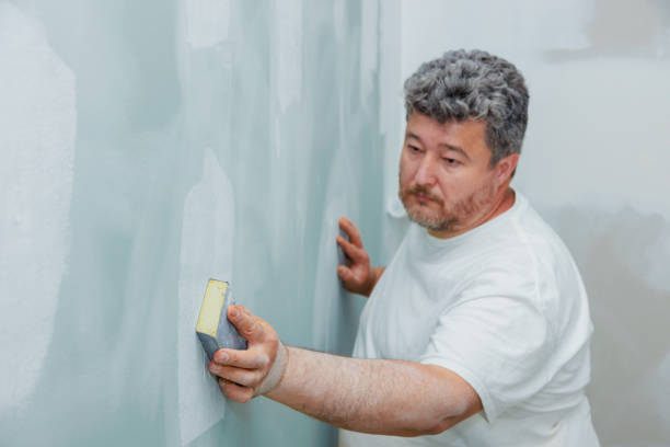 Best Mold Removal for HVAC Installations  in Somerville, TN