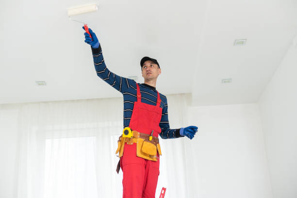 Best Emergency Mold Remediation  in Somerville, TN